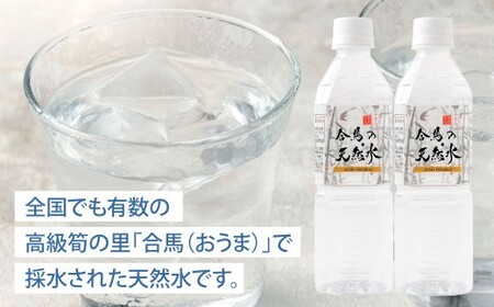 合馬の天然水 500ml 2ケース（24本入り×2箱） 天然水 水 みず ミネラルウォーター 軟水 鉱水 ペットボトル 常温 福岡県 北九州市