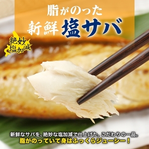 塩サバフィレ 1枚 約 150g 枚数 5枚 さば 塩サバ フィレ フィーレ さばフィレ 忙しい朝 大活躍 焼くだけ 美味しい 新鮮 絶妙 塩加減 脂の旨味 海鮮 魚介 魚 焼き魚 切身 冷凍 お弁当
