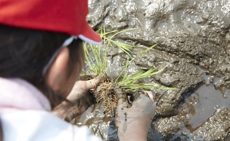 【酔仙酒造】 お米・お酒の「純米セット」 ～冬ver～ 【 地酒 お酒 日本酒 晩酌 ひとめぼれ 白米 精米 岩手県 陸前高田市 】RT568