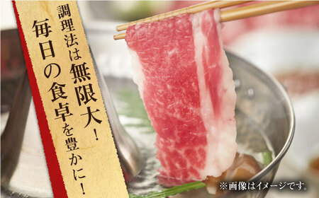 長崎和牛 切り落とし 約400g （カタ、モモ、バラ、ロース、スネのいずれか）【合同会社肉のマルシン】[QBN016]