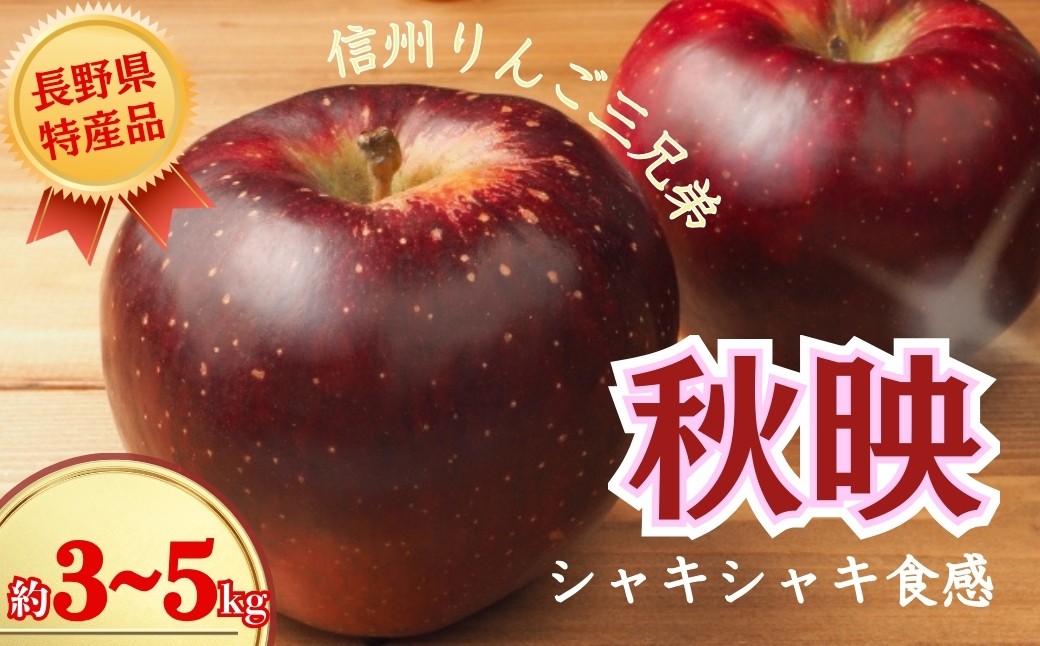 
                  【2026年先行予約】秋映 約3kg / 約5kg｜ 果物 フルーツ リンゴ 林檎 あきばえ 千曲市 長野県 信州
                