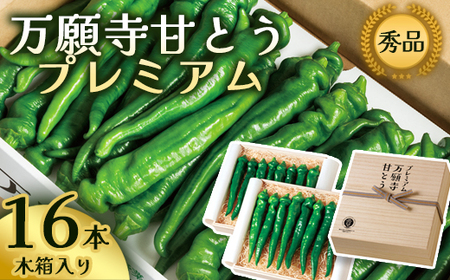 【訳あり】 万願寺甘とう 秀品 4kg | 万願寺甘とう 訳あり野菜 京野菜