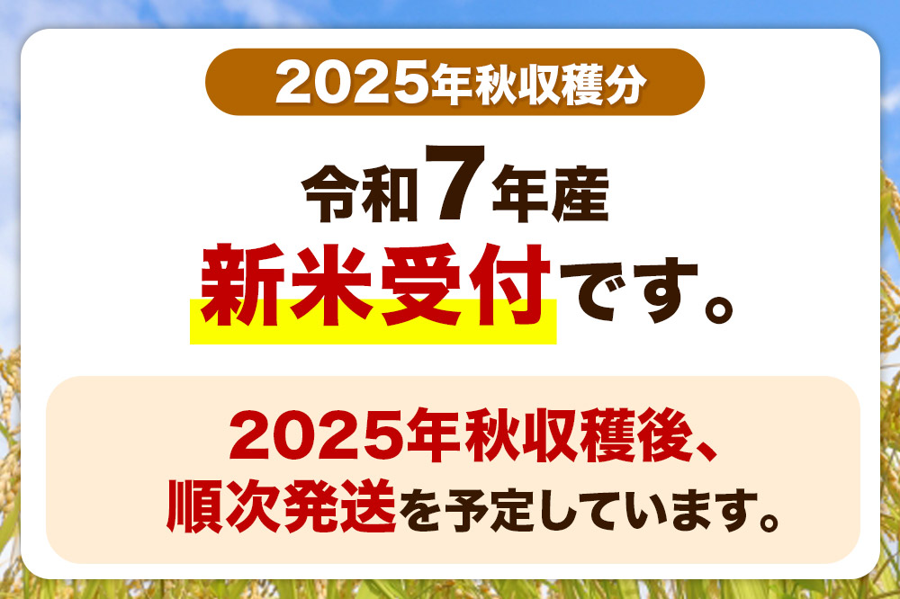 令和7年産新米受付『こまち娘』あきたこまち 無洗米 10kg（5kg×2袋）