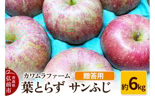 りんご【先行受付】葉とらず サンふじ 約6kg カワムラファーム 贈答用