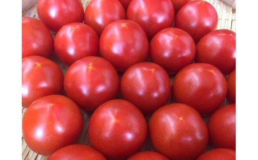◆愛情たっぷり新鮮トマト１kg【2025年10月下旬発送】