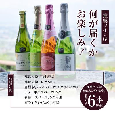 ふるさと納税 甲州市 勝沼ぶどうの丘推奨スパークリングワイン6本セット(KBO)F-603 |  | 03