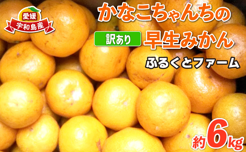 
                  訳あり 早生 6kg ふるくとファーム  先行予約 かなこちゃんち 果物 くだもの フルーツ 柑橘 みかん 蜜柑 mikan ビタミンC たっぷり 愛媛ミカン 愛媛蜜柑 愛媛みかん 農家直送 産地直送 数量限定 国産 愛媛 宇和島 B010-037004
                