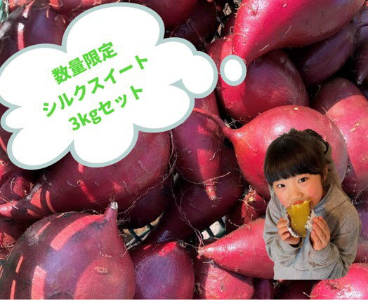 【ふるさと納税】【 予約受付 2025年産 】 厳選 さつまいも シルクスイート 3kg 国産 サツマイモ さつま芋 野菜 岩手県 北上市 齋藤 智仁 B0400 産地直送 ※令和7年9月下旬より発送開始予定