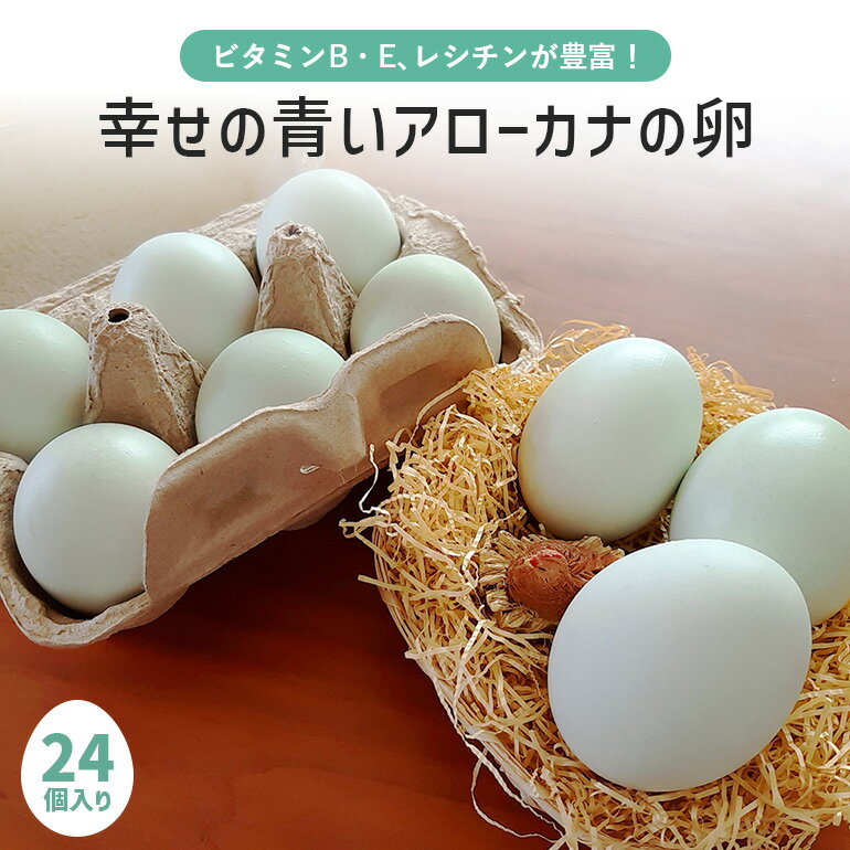 【ふるさと納税】平飼い幸せの青い卵（アローカナの卵）24個（20＋補償4個） たまご タマゴ 玉子 安全 テレビ TV マニアさん 健康 美容 ご飯 すき焼き 目玉焼き 卵焼き 玉子焼き たまご焼き 卵かけご飯 卵かけごはん TKG 37-D