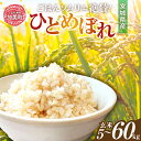 【ふるさと納税】玄米 新米 米 令和6年産 宮城県加美町産 ひとめぼれ 5kg ～ 20kg | 2回 ～ 3回 定期便 (10kg ～ 60kg) | sg00002-r6 ＜菅原商店＞｜ 宮城県 加美町