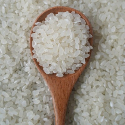 【ふるさと納税】有機こしひかり白米450g×12袋(令和7年産)【1709187】