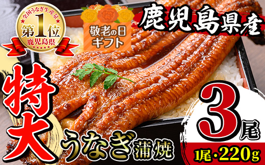 i1078-B-k 【敬老の日ギフト】＼特大サイズ／鹿児島県産 うなぎ蒲焼  3尾（約220g×3・計約660g） たれ 山椒付きうなぎ 鰻 ウナギ 特大 特大サイズ 約220g 蒲焼き 国産 鹿児島県産 焼きたて 生産量日本一 真空パック おかず 晩御飯 特別な日 贈答 ギフト プレゼント 敬老の日 【薩摩川内鰻】