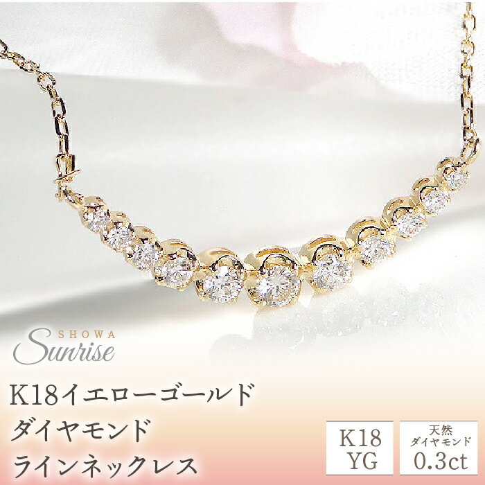 【ふるさと納税】 ふるさと納税 ネックレス ダイヤモンド 18金 ダイヤ イエローゴールド ペンダント ジュエリー ギフト 誕生日 プレゼント 贈り物 山梨県 昭和町 母の日 人気 保証書 ケース付 【0.3ct】K18YG　ダイヤモンド　ラインネックレス　CSN00106-18Y SWAV011