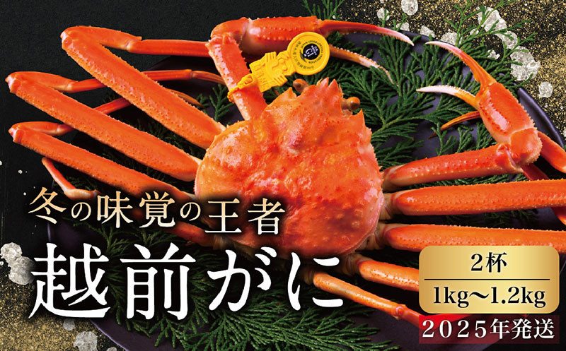 
            【2025年発送・指定日着可】越前がに（オス）「ずわいがに」特大サイズ（1.0-1.2kg） 2杯
          