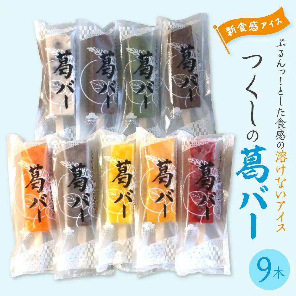 食感が楽しめる 葛バー(9種類9本入り) アイス 溶けない 低カロリー