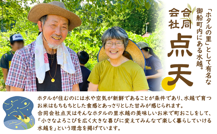 洗米 ホタルの里水越の自然栽培米 約2.1kg 300g×7袋 合同会社点天《30日以内に発送予定(土日祝除く)》洗わなくてOK 米 コメ 小分け 便利 熊本県産---mf_tnmsn6nen_24_