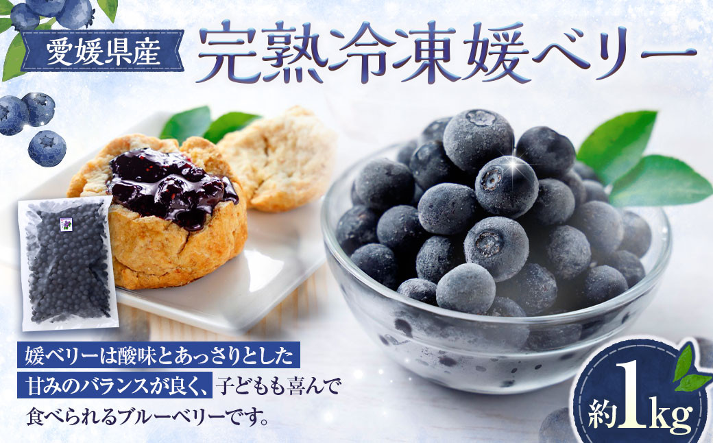 
            完熟 冷凍 媛ベリー 【約1kg】 ブルーベリー 果物 果実 フルーツ 愛媛県 （894）
          