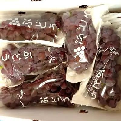 ぶどう（デラウェア）１ｋｇ　0142-2601