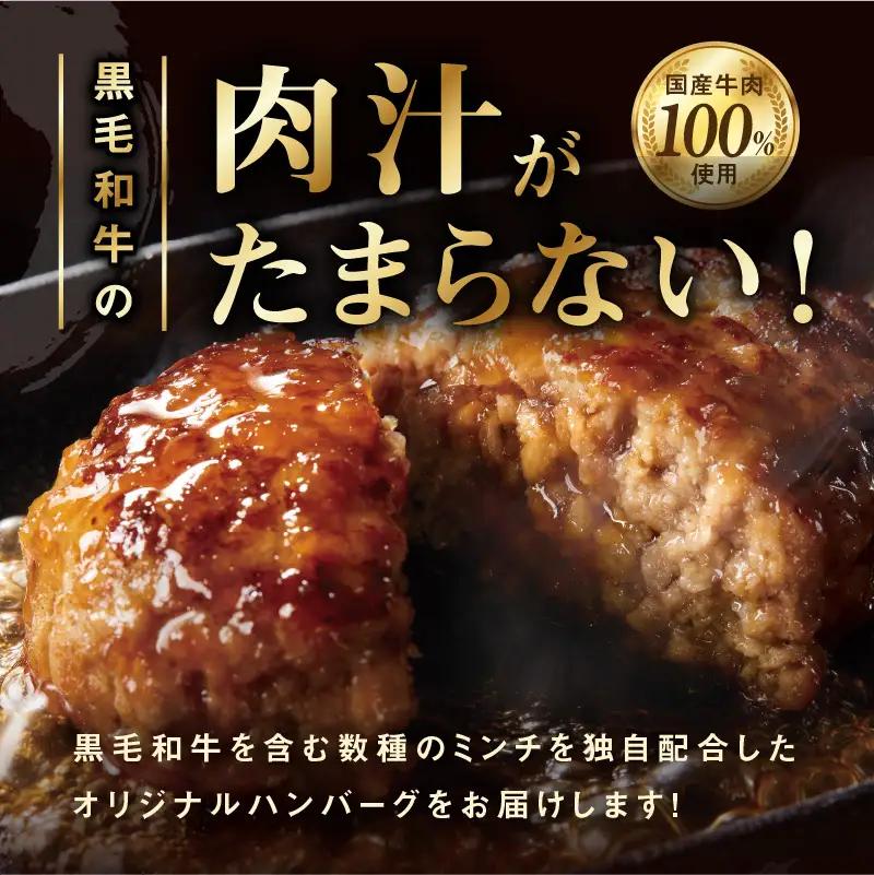 黒毛和牛入り 国産牛肉100％ ハンバーグ 定期便 16個×全6回 150gサイズ【毎月配送コース】