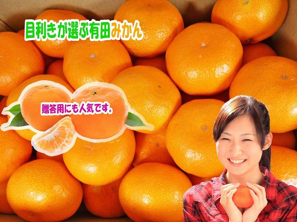 
                  目利きが選ぶ有田みかん Lサイズ5kg
                