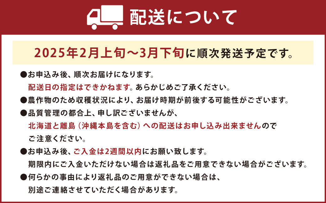 福岡産【春】あまおう6パック 【2025年2月上旬～3月下旬発送予定】