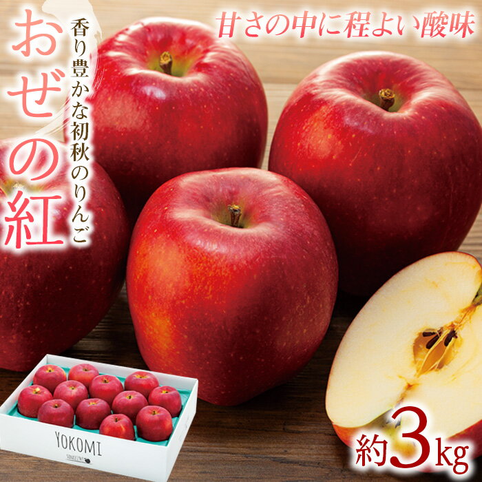 【ふるさと納税】りんご おぜの紅 選べる 3kg 5kg 2025年 令和7年度発送分 リンゴ 林檎 長野 フルーツ 果物 果物類 信州産 長野県産 特産 産地直送 おすすめ 旬の果物 旬のフルーツ 初秋のりんご 食後 デザート 食べ物 食品 　お届け：2025年9月上旬～下旬ごろ
