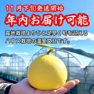【先行予約】厳選 温室土佐文旦 約5kg（7?8玉） 高知県土佐市 【土佐文旦の藤岡】 [BQBJ002]