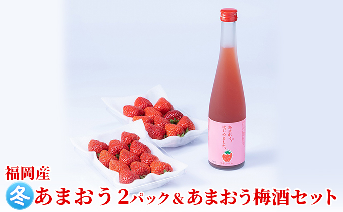 
いちご あまおう 2パック 冬＆あまおう梅酒 あまおうはじめました。 500ml×1本セット 配送不可 離島
