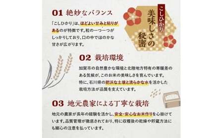 【1月発送】復興応援米 令和7年産こしひかり 10kg(5kg×2袋) 精米 銘柄米 お米 米 ギフト 贈り物 グルメ 食品 復興 震災 コロナ 能登半島地震 復興支援 北陸新幹線 F6P-2929