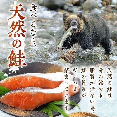 ふるさと納税 北見市 新巻鮭(オス) 切り身セット |  | 01