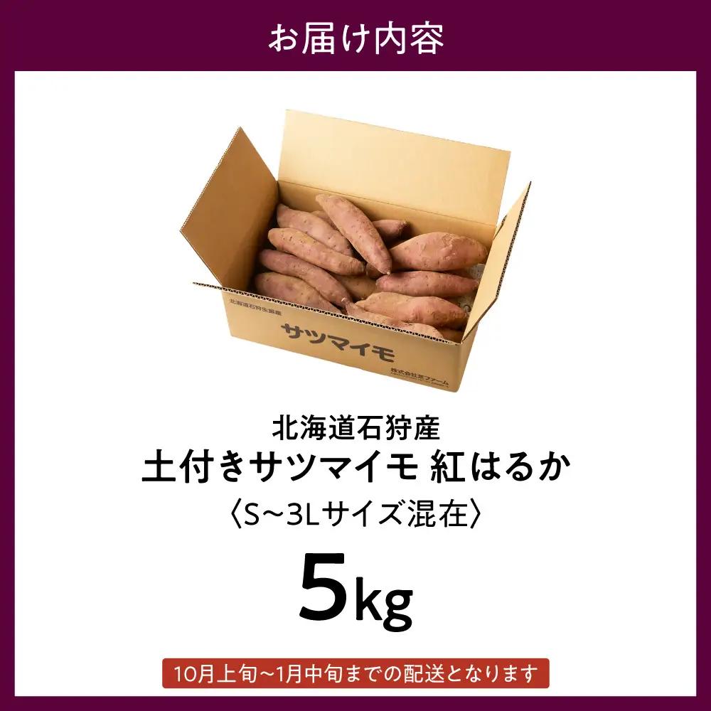 【先行予約】石狩産 土付サツマイモ 紅はるか（S～3Lサイズ混在） 5kg【10月発送】｜野菜 さつまいも 北海道 石狩市