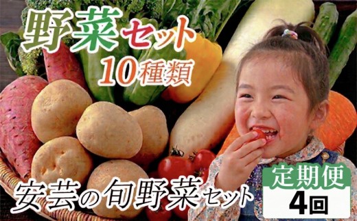 【定期便4回】 「安芸ブランド」新鮮お野菜詰め合わせセット 10種類 | 人気 野菜 詰合せ 詰め合わせ セット 新鮮野菜 詰め合わせセット 野菜セット 季節の野菜 地元産 お取り寄せ おすすめ じゃがいも ジャガイモ 玉ねぎ 人参 たまねぎ タマネギ にんじん トマト きゅうり なす 旬野菜 新鮮 お試し 詰め合わせ 4ヶ月連続 4ヶ月定期便 野菜定期便 安芸駅ぢばさん市場 高知県 安芸市