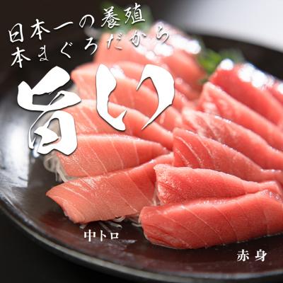 ふるさと納税 大月町 【高知県産 養殖本マグロ】450g(中トロ300g 赤身150g)小分け柵 急速冷凍 |  | 01
