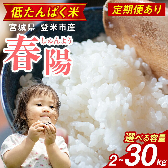 【ふるさと納税】≪令和7年産≫ ＜定期便も可！＞低たんぱく米 春陽 2kg～30kg 選べる 回数・容量 白米 しゅんよう 精米 宮城県 登米市産 低グルテリン米 低タンパク お米 おこめ 米 コメ 白米 ご飯 ごはん おにぎり お弁当 5kg 10kg 頒布会【株式会社ごとう農産】tm639