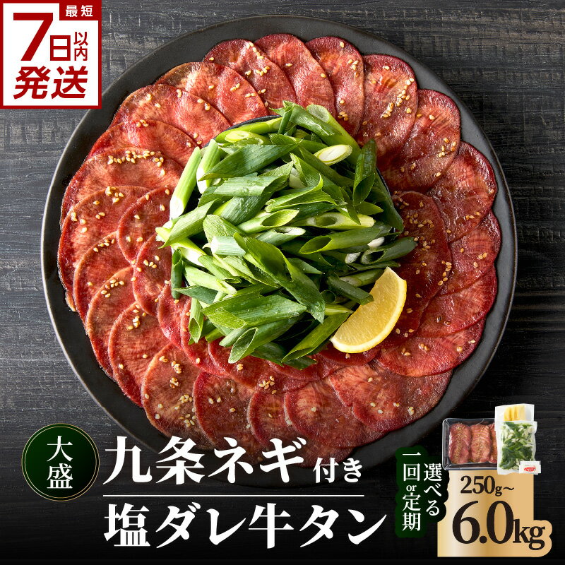 【ふるさと納税】500gのみ スピード発送！！塩ダレ牛タン 大盛九条ネギ 選べる内容量（250g・500g・750g） 選べる定期便（500g×3回・6回・12回）《レビューキャンペーン》 牛タン セット 牛肉 京都九条ネギ 小分け 冷凍 真空パック 薄切りスライス BBQ 京都 牛たん 牛タン塩