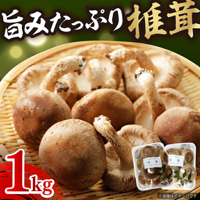 【ふるさと納税】シイタケ1kg 肉厚 ジューシー 椎茸 岐阜市/JAぎふ[ANAS006]