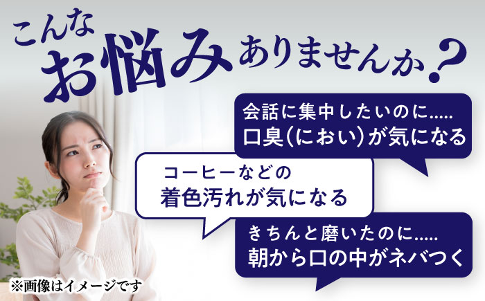 スマイルワン 歯磨剤 50g×2本 / 歯磨き粉 歯磨き 口臭予防 銀イオン ボタニカル成分 虫歯 予防 日用品?オーラルケア すっきり スッキリ さわやか 熊本県 菊陽町【株式会社 ピカッシュ】 [