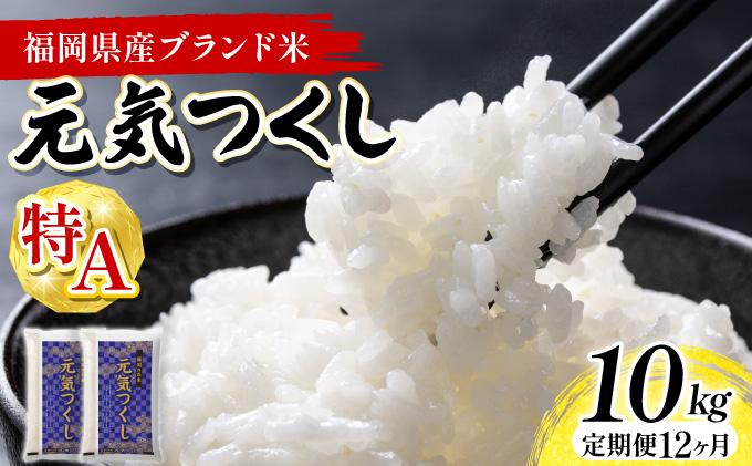 【12ヶ月定期便】福岡県産米 元気つくし 10kg 令和7年産 ※北海道・沖縄・離島は配送不可【精米 7年産 国産 福岡県産 お米 ブランド米 10kg げんきつくし】CY012sub12 【12ヶ月