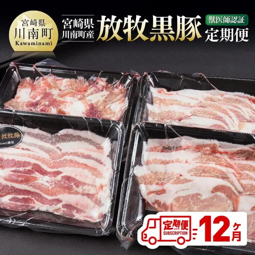 【12ヶ月定期便】宮崎県川南町産豚肉　放牧黒豚定期便 【 豚 肉 豚肉 国産 黒豚 九州産 宮崎県産 川南町 加工品 セット 送料無料 】