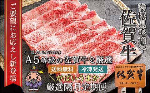 ｎ－６ 【偶数月に６回発送】大人気！佐賀牛 赤身の定期便