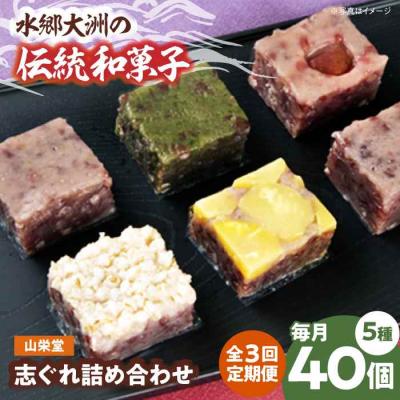 ふるさと納税 大洲市 【全3回定期便】大洲の旬を感じる!山栄堂の志ぐれ詰め合わせAセット(2箱) [AGBM053]