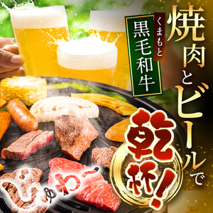 【 定期便3回 】訳あり くまもと黒毛和牛 焼肉 切り落とし 約 400g | 熊本県 和水町 くまもと なごみ 肉 牛肉 肥後 肥後の赤牛 スライス 冷凍 切落し にく 黒毛和牛 牛丼 小分け 数量
