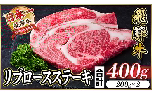 
            飛騨牛　厳選リブロースステーキ　400g(200g×2)　A4～A5等級　＜冷凍便＞　黒毛和牛【1487348】
          