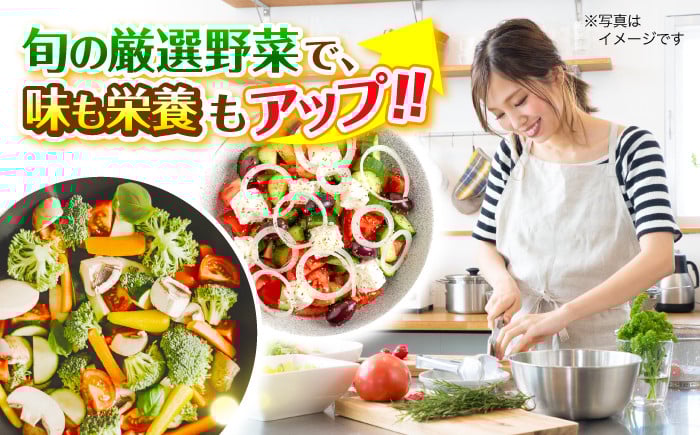 贈答 ギフト 特産品 新鮮 旬の野菜 お野菜