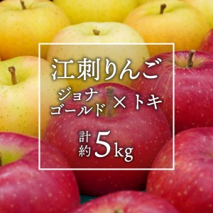 数量限定 江刺りんご ジョナゴールド・トキ 5kg（16～20玉）【10月下旬以降お届け】 離島配送不可 [AQ026]