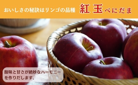 【焼きたて発送】りんごさんちの やきりんご 10個入り 国産小麦 焼き菓子 山形県 朝日町 スイーツ 菓子 りんご アップル パイ