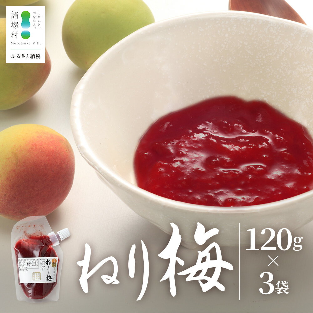 【ふるさと納税】ねり梅 120g×3P パウチ 常温｜ねりうめ 梅 ウメ 梅肉 ペースト シソ 紫蘇 和え物 梅和え 漬物 ごはんのお供 熱中症対策 塩分 加工品 調味料 もろっこはうす 宮崎県 諸塚村 MO-48