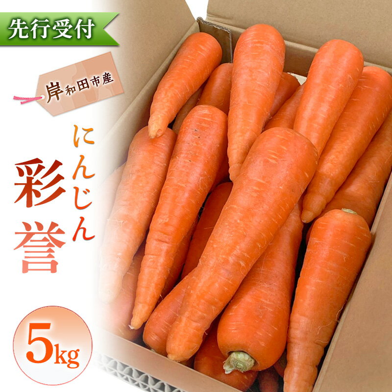 【ふるさと納税】にんじん 5kg 彩誉 先行予約 人参 ニンジン 岸和田市産 ブランド野菜 【数量限定】高糖度 甘い 野菜ジュース スムージー キャロット 旬 野菜 産地直送 常備菜 料理 大阪府 岸和田市　お届け：2027年1月中旬より順次出荷開始