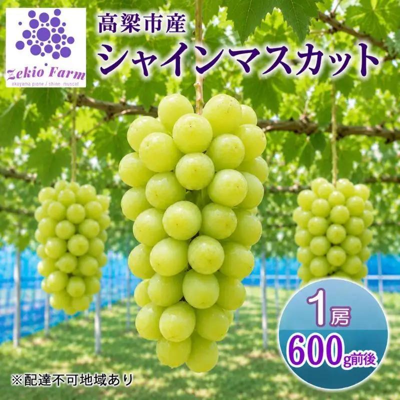シャインマスカット ぜきお農園 岡山県産 シャインマスカット【1房 約600g】【先行予約】