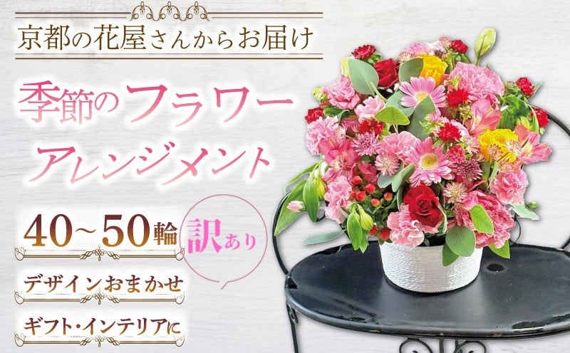 
            【訳あり】季節の花 フラワーアレンジメント おまかせ 40～50輪 お祝い 花 推し活 結婚 開店祝 贈り物 京都 宇治 ギフトフラワー Hanamasa 花屋 春夏秋冬
          